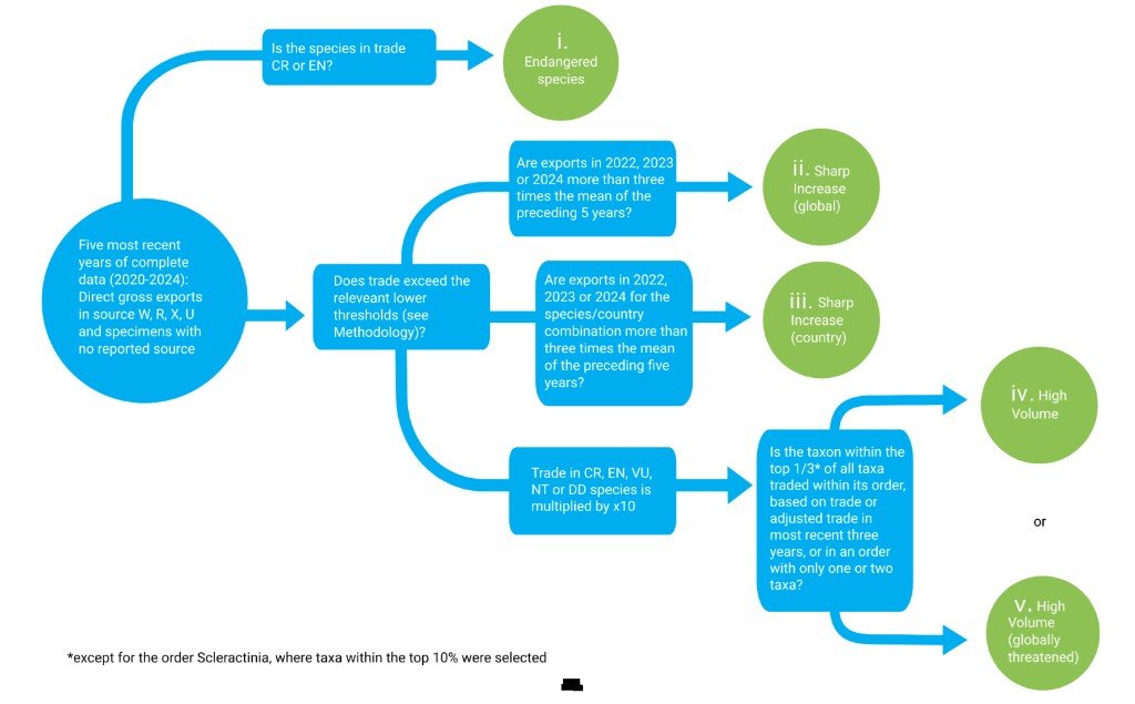 Coral species selection methodology flowchart (AC34)